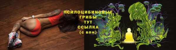 дживик Бугульма