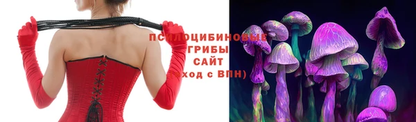 jwh Бородино