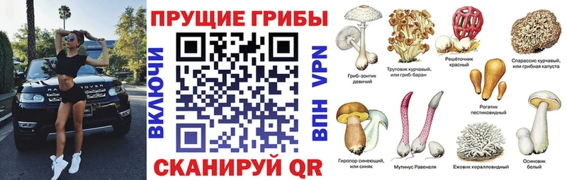 Псилоцибиновые грибы Cubensis  Рузаевка 